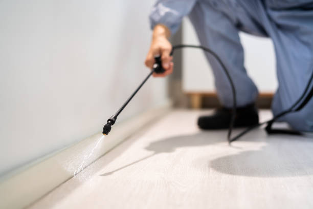 Licensed Pest Control service in Brunswick, GA - Show Me Pest Control